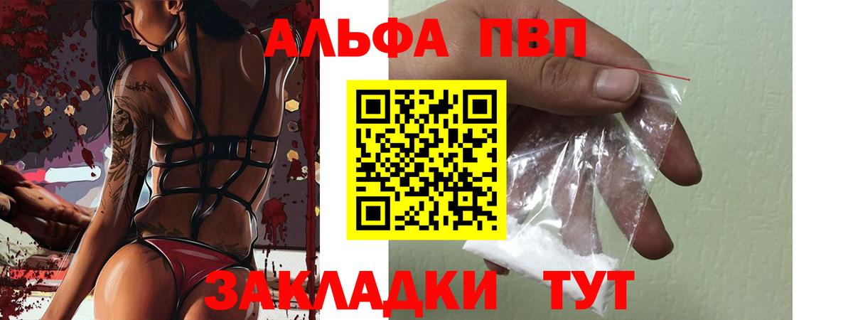 Alfa_PVP СК Дмитров