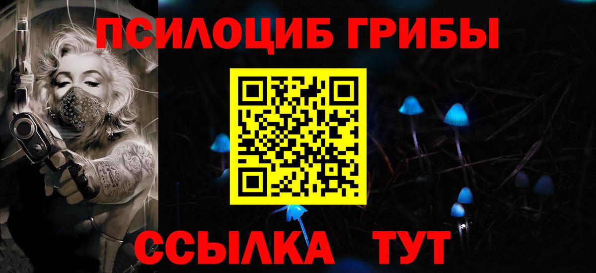 Галлюциногенные грибы Cubensis  Галлюциногенные грибы прущие грибы  Вход с VPN  Дмитров 